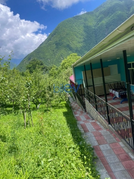 Günlük Kirayə 2 otaqlı Bağ evi  50m², Şəki
