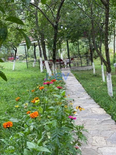 Günlük Kirayə 2 otaqlı Bağ evi  50m², Şəki