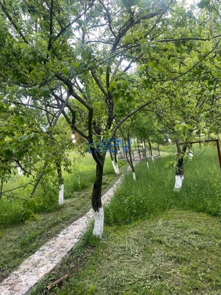 Günlük Kirayə 2 otaqlı Bağ evi  50m², Şəki
