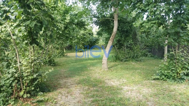 Satış  otaqlı Torpaq  10m², Qəbələ