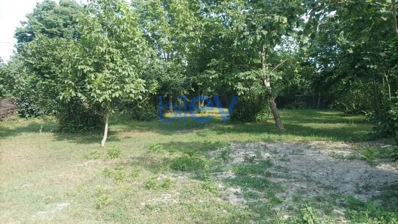 Satış  otaqlı Torpaq  10m², Qəbələ
