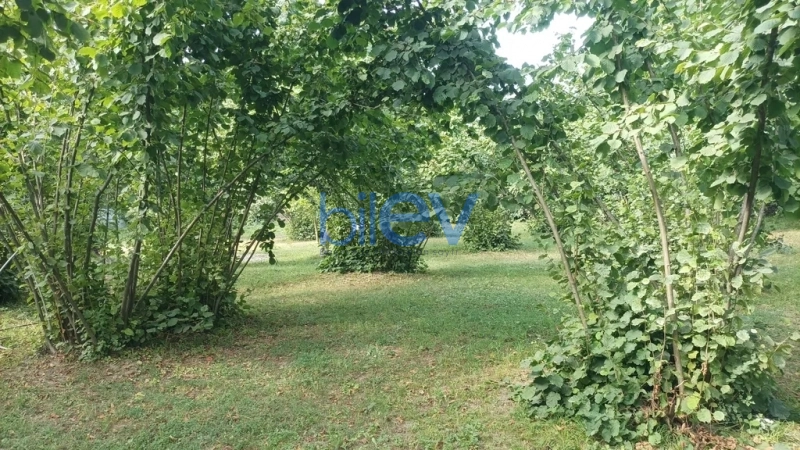 Satış  otaqlı Torpaq  10m², Qəbələ