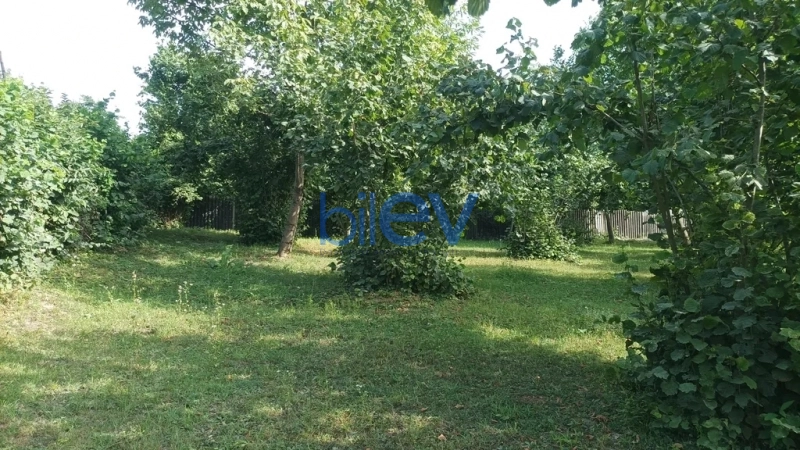 Satış  otaqlı Torpaq  10m², Qəbələ