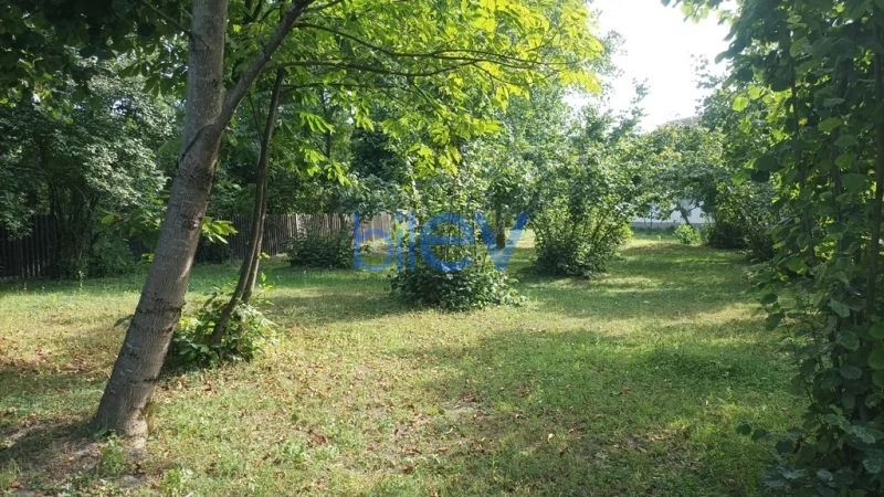 Satış  otaqlı Torpaq  10m², Qəbələ
