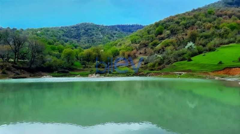 Günlük Kirayə 4 otaqlı Bağ evi  110m², İsmayıllı