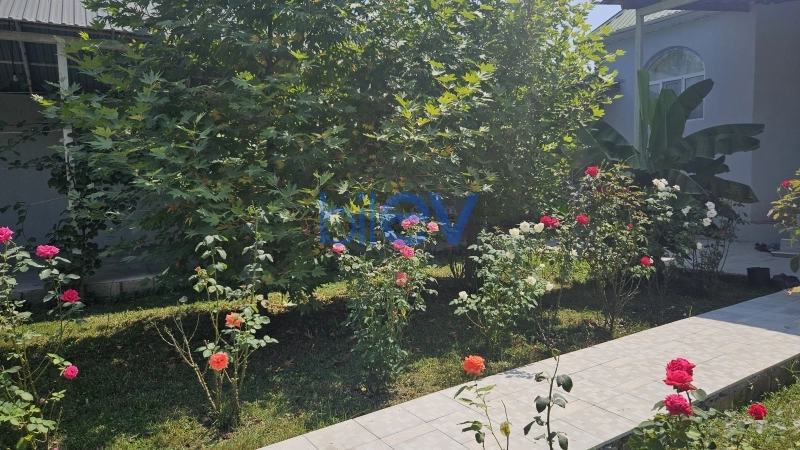 Günlük Kirayə 3 otaqlı Həyət evi  120m², Qəbələ