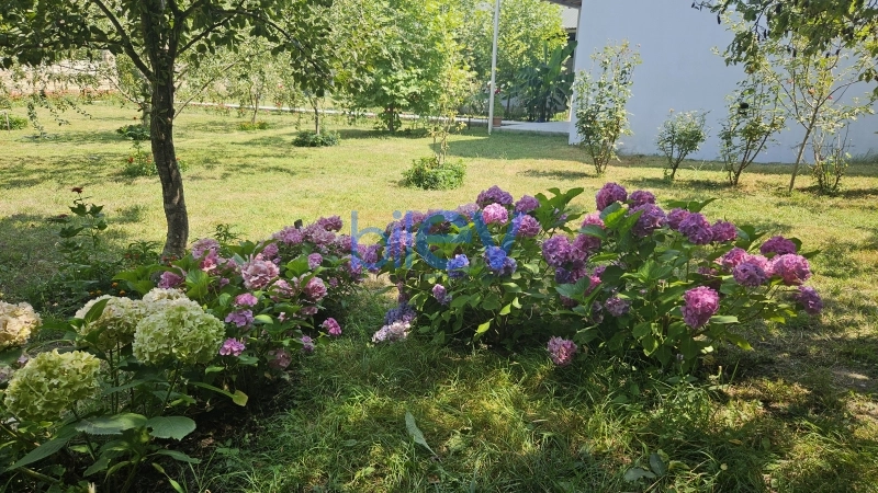 Günlük Kirayə 3 otaqlı Həyət evi  120m², Qəbələ