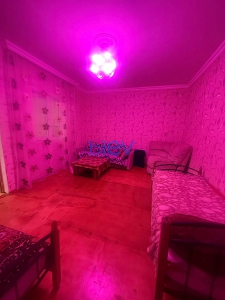 Aylıq Kirayə 3 otaqlı Həyət evi  110m², Bakı