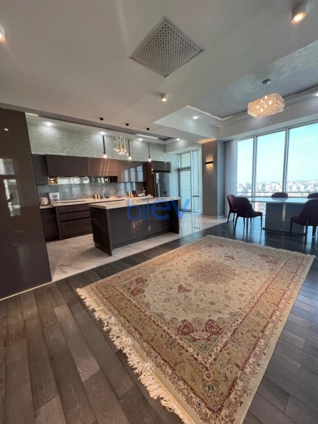 Aylıq Kirayə 4 otaqlı Yeni Tikili bina evi  160m², Bakı