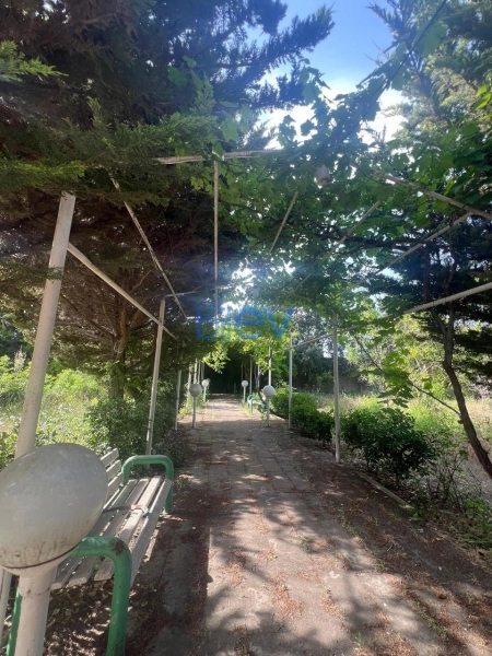 Günlük Kirayə 5 otaqlı Bağ evi  250m², Bakı