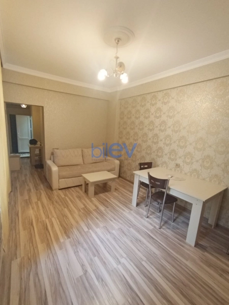 Aylıq Kirayə 2 otaqlı Yeni Tikili bina evi  55m², Bakı