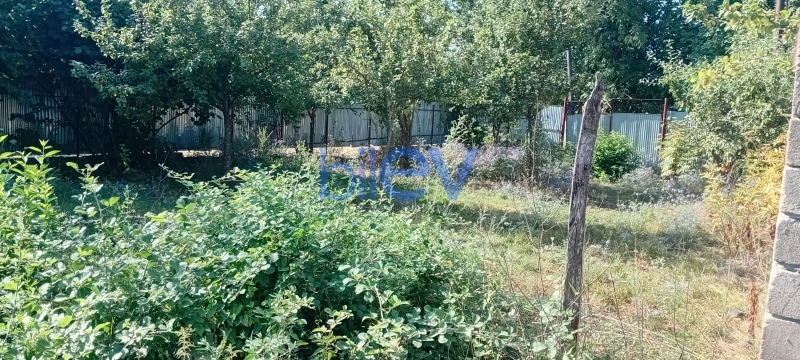 Satış 0 otaqlı Torpaq  7000m², İsmayıllı