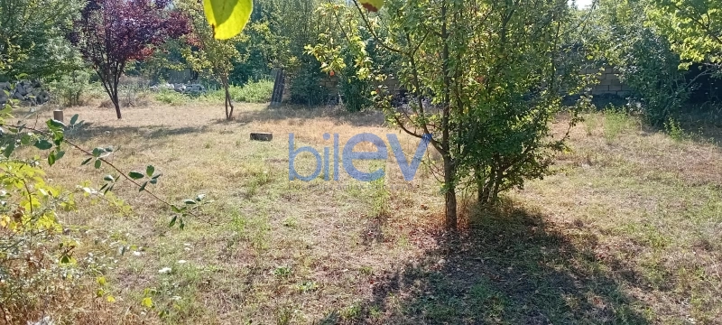 Satış 0 otaqlı Torpaq  7000m², İsmayıllı