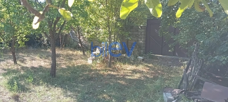 Satış 0 otaqlı Torpaq  7000m², İsmayıllı