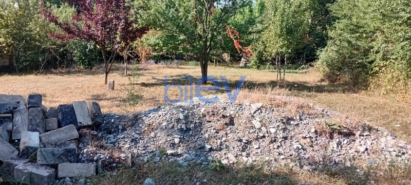 Satış 0 otaqlı Torpaq  7000m², İsmayıllı