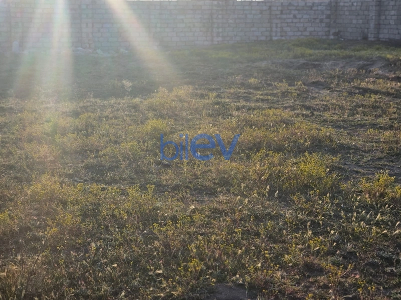 Satış  otaqlı Torpaq  6m², Bakı