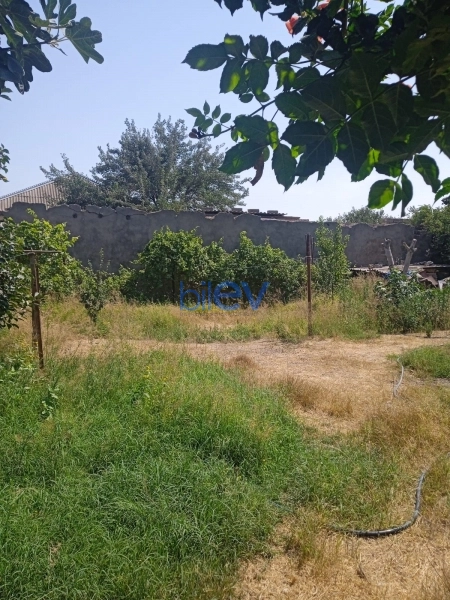 Satış  otaqlı Torpaq  400m², Bakı