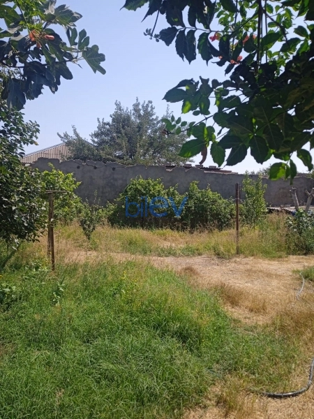 Satış  otaqlı Torpaq  400m², Bakı