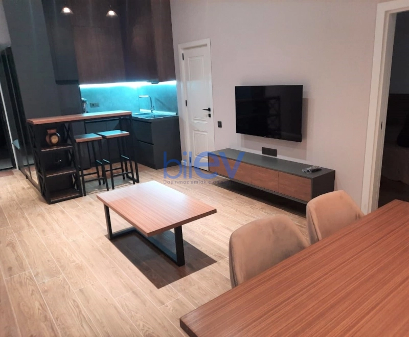 Aylıq Kirayə 2 otaqlı Yeni Tikili bina evi  51m², Bakı