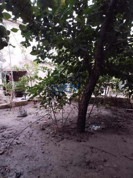 Satış 9 otaqlı Torpaq  200m², Bakı