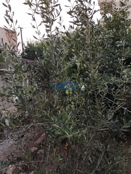 Satış 9 otaqlı Torpaq  200m², Bakı