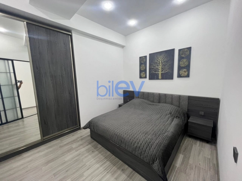 Aylıq Kirayə  otaqlı Yeni Tikili bina evi  m², Bakı