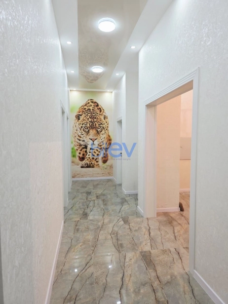 Satış 4 otaqlı Həyət evi  170m², Bakı