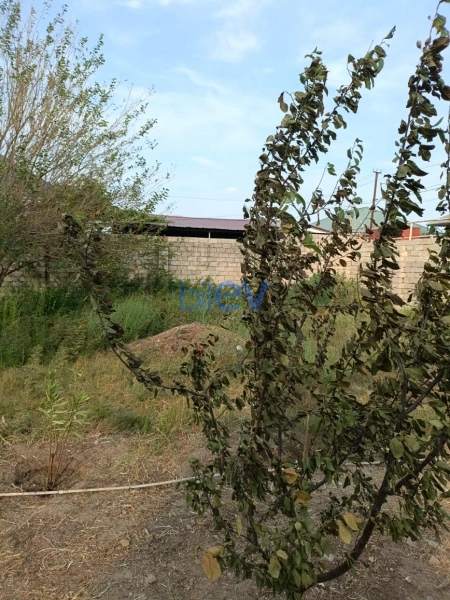 Satış 4 otaqlı Həyət evi  120m², Bakı