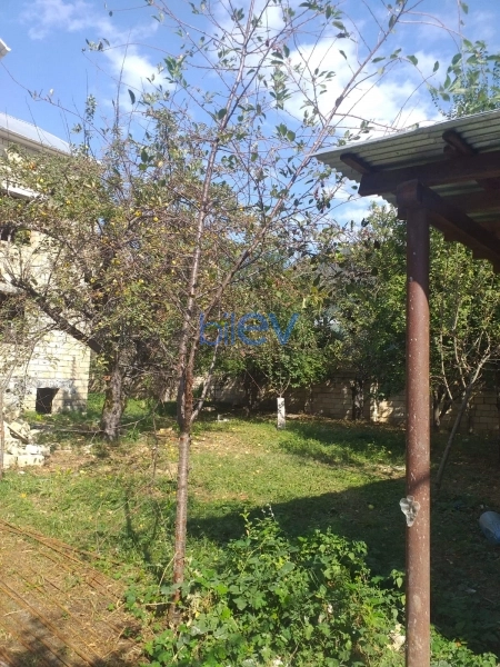 Satış 7 otaqlı Həyət evi  250m², Qəbələ