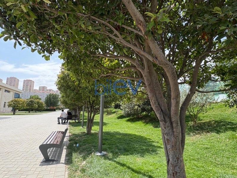 Aylıq Kirayə 2 otaqlı Yeni Tikili bina evi  74m², Bakı