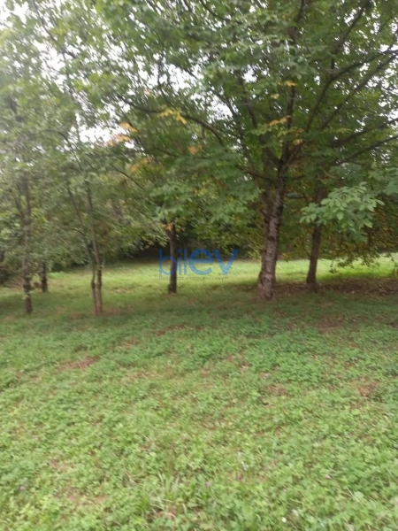 Satış  otaqlı Torpaq   10 sot m², Quba