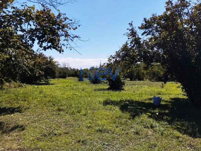 Satış  otaqlı Torpaq  70m², Qəbələ