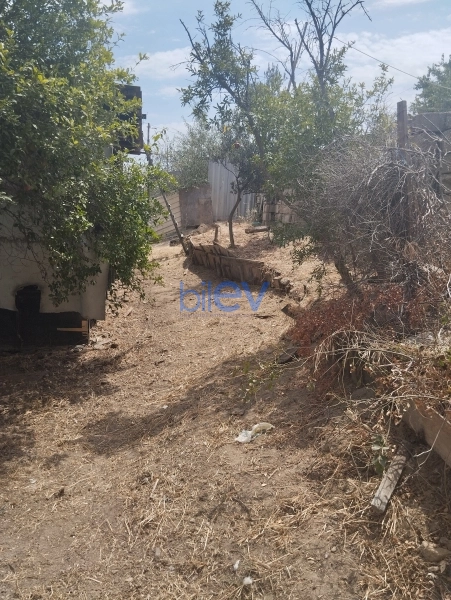 Satış  otaqlı Torpaq  2m², Bakı