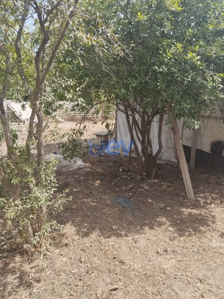 Satış  otaqlı Torpaq  2m², Bakı