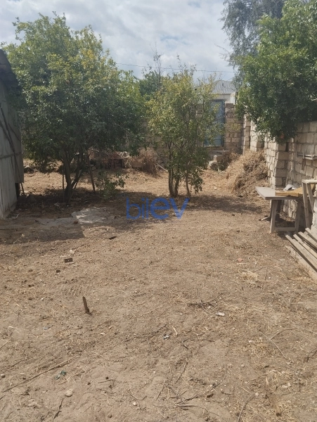 Satış  otaqlı Torpaq  2m², Bakı