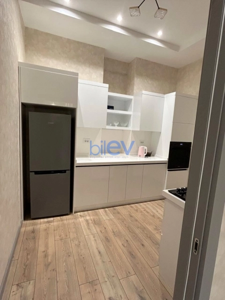 Aylıq Kirayə 2 otaqlı Yeni Tikili bina evi  91m², Bakı