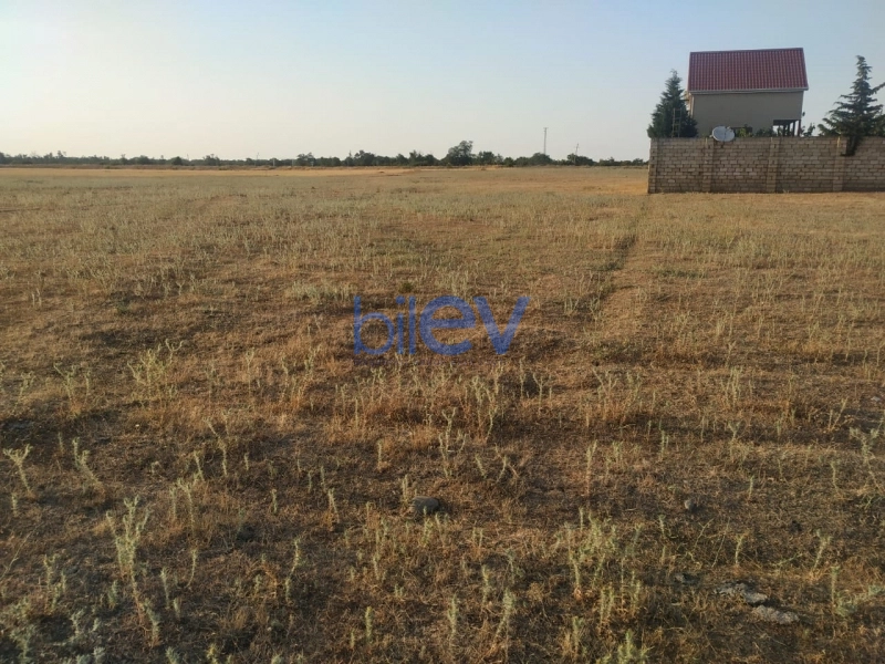 Satış  otaqlı Torpaq  5m², Xaçmaz / Nabran