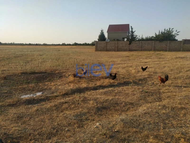 Satış  otaqlı Torpaq  5m², Xaçmaz / Nabran