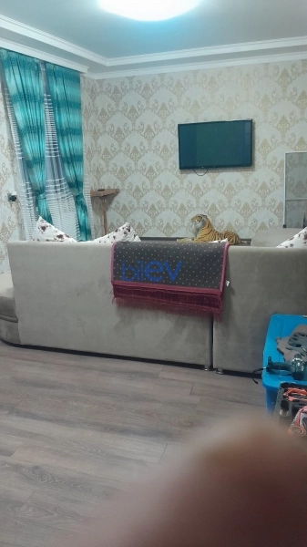 Satış 4 otaqlı Həyət evi  180m², Bakı