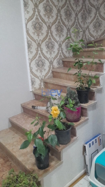 Satış 4 otaqlı Həyət evi  180m², Bakı