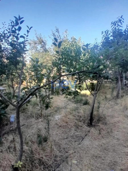 Satış 8 otaqlı Bağ evi  220m², Bakı