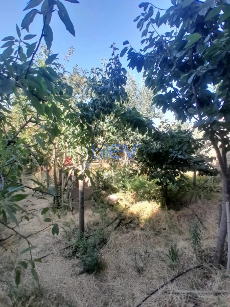Satış 8 otaqlı Bağ evi  220m², Bakı