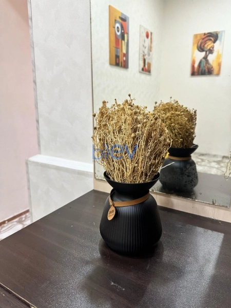 Aylıq Kirayə 2 otaqlı Köhnə Tikili bina evi  68m², Bakı
