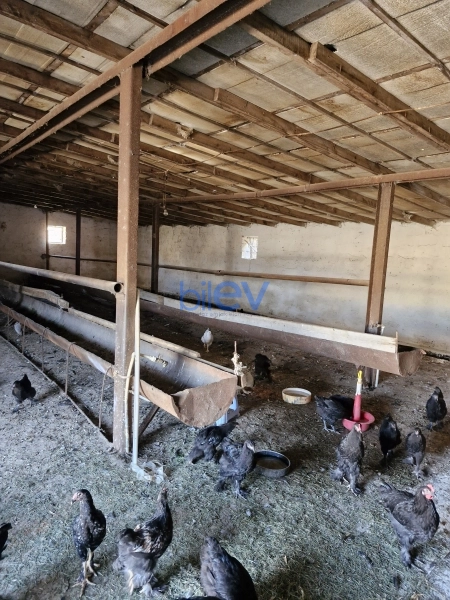 Satış 8 otaqlı Obyekt  1200m², Bakı
