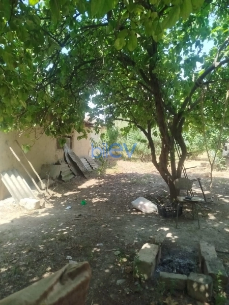 Satış 4 otaqlı Bağ evi  40m², Şabran