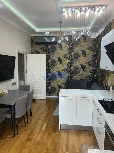 Satış 2 otaqlı Yeni Tikili bina evi  45m², Bakı