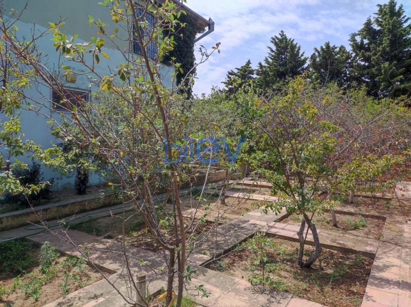 Satış 5 otaqlı Bağ evi  200m², Bakı