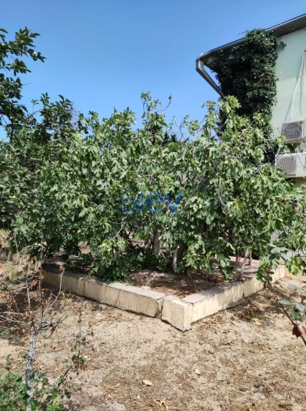 Satış 5 otaqlı Bağ evi  200m², Bakı