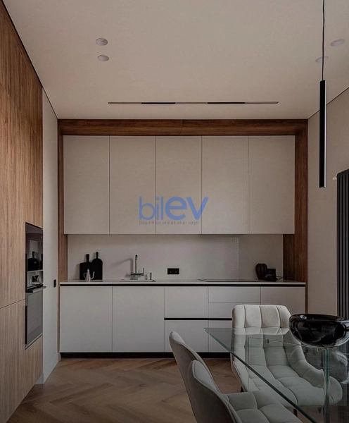 Aylıq Kirayə 2 otaqlı Yeni Tikili bina evi  50m², Bakı