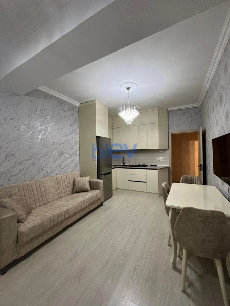 Aylıq Kirayə 2 otaqlı Yeni Tikili bina evi  55m², Bakı